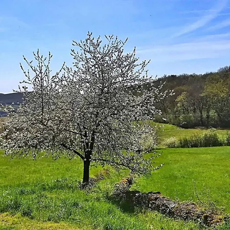 L Ostalet